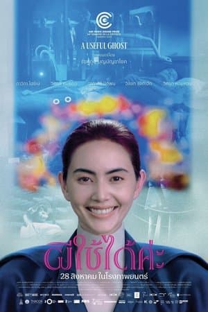 ผีใช้ได้ค่ะ Poster