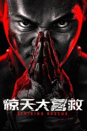 惊天大营救 Poster