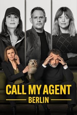 Call My Agent Berlin Poster